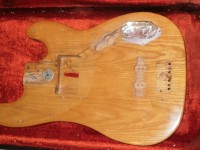gnarly routs 73 tele bass