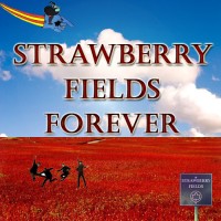 Strawberry Fields Forever.jpg