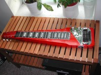 lapsteel.JPG