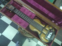 Bronson Melody King1a.jpg