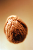 walnut.jpg