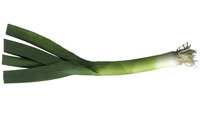 A-leek-001.jpg