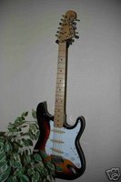 squier_xii_01.jpg