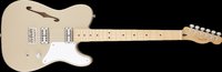 Fender Telecaster Cabronita.JPG