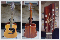 Alvarez 9 string guitar.jpg