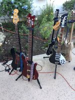 Joey's Ruby 4004 and a P-Bass ...