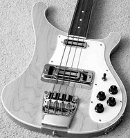 Lucite-Pickguard-b&w-02a.jpg