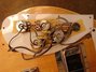 Rickenbacker 4003/4 , Mapleglo: Free image