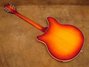 Rickenbacker 360/12 , Autumnglo: Full Instrument - Rear