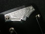 Rickenbacker B/6 LapSteel, Black: Close up - Free