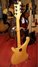 Rickenbacker 481/6 Slant Fret, Mapleglo: Full Instrument - Rear