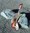 Rickenbacker 350/6 Liverpool, Fireglo: Full Instrument - Front