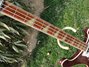 Apr 1980 Rickenbacker 4001/4 , Burgundy: Neck - Front