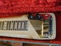 Rickenbacker 100/6 LapSteel, Gray Zolatone: Free image2