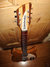 Rickenbacker 330/6 , Mapleglo: Headstock