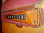 Rickenbacker 100/6 LapSteel, Blonde: Full Instrument - Front