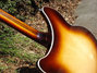 Rickenbacker 365/6 VB VP, MonteBrown: Free image2