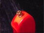 Rickenbacker 4000/4 , Fireglo: Close up - Free2