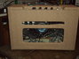 Rickenbacker M-14A/amp , Brown: Body - Front