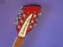 Rickenbacker 360/12 , Burgundy: Headstock