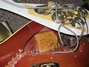 Rickenbacker 4001/4 , Fireglo: Free image2