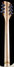 Rickenbacker 360/12 WB, Mapleglo: Neck - Rear