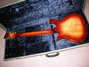 Rickenbacker 660/12 TP, Fireglo: Full Instrument - Rear