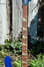 Rickenbacker 4003/4 BH BT, Midnightblue: Neck - Front