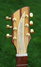 Rickenbacker 700/6 PW Build (acoustic), Mapleglo: Headstock