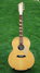 Rickenbacker 700/6 PW Build (acoustic), Mapleglo: Full Instrument - Front