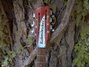 Rickenbacker 330/12 , Fireglo: Headstock