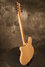 Rickenbacker 360/12 , Mapleglo: Neck - Rear