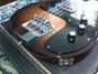 Rickenbacker 3001/4 BT, Autumnglo: Close up - Free2