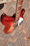 Rickenbacker 360/6 , Fireglo: Neck - Front