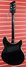 Rickenbacker 360/6 WB, Jetglo: Full Instrument - Rear