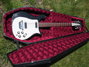 Rickenbacker 450/12 , Jetglo: Full Instrument - Front