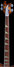 Rickenbacker 4001/4 , Autumnglo: Neck - Front