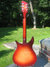 Rickenbacker 320/6 f hole, Fireglo: Full Instrument - Rear