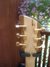 Rickenbacker 650/6 Sierra, Natural Walnut: Headstock - Rear