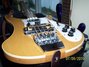 Rickenbacker 4003/4 , Mapleglo: Body - Front
