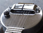 Rickenbacker A22/6 LapSteel, Silver: Free image