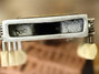 Rickenbacker A22/6 LapSteel, Silver: Close up - Free
