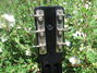 Rickenbacker B/6 LapSteel, Black: Headstock - Rear