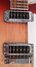 Rickenbacker 360/6 WB, Fireglo: Close up - Free
