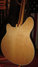 Rickenbacker 370/12 RM, Mapleglo: Free image2