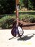 Rickenbacker 360/12 RIC Outlet One Off, Custom: Full Instrument - Front