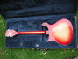 Rickenbacker 620/12 , Fireglo: Full Instrument - Rear