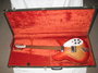 Rickenbacker 330/6 , Fireglo: Free image