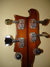 Rickenbacker 4001/4 , Walnut: Headstock - Rear