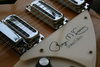 Rickenbacker 370/12 RM, Mapleglo: Close up - Free2